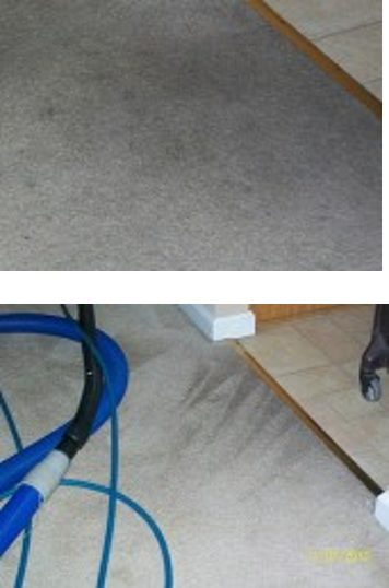 carpet cleaning Sunset Hills