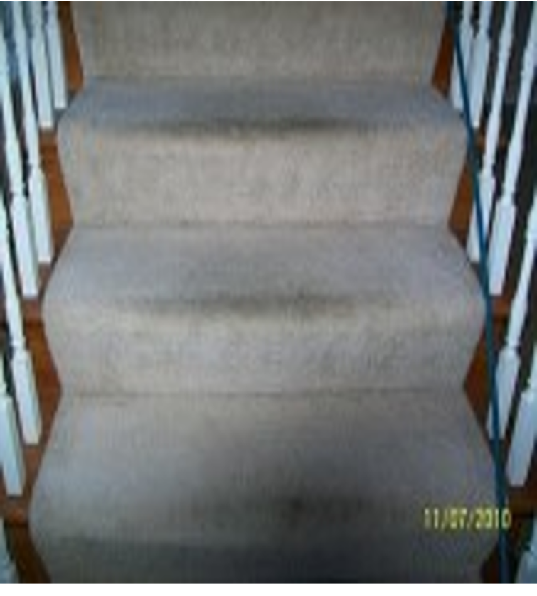 carpet cleaning Sunset Hills MO