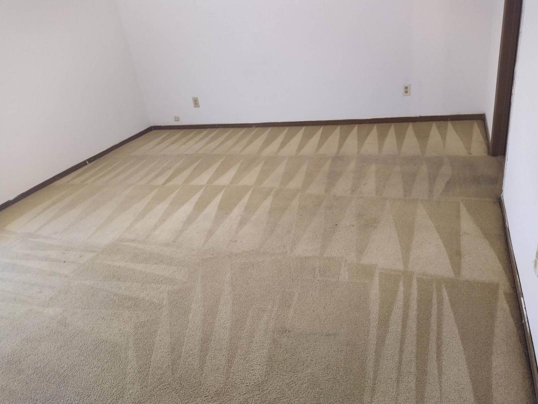 carpet cleaning sunset hills